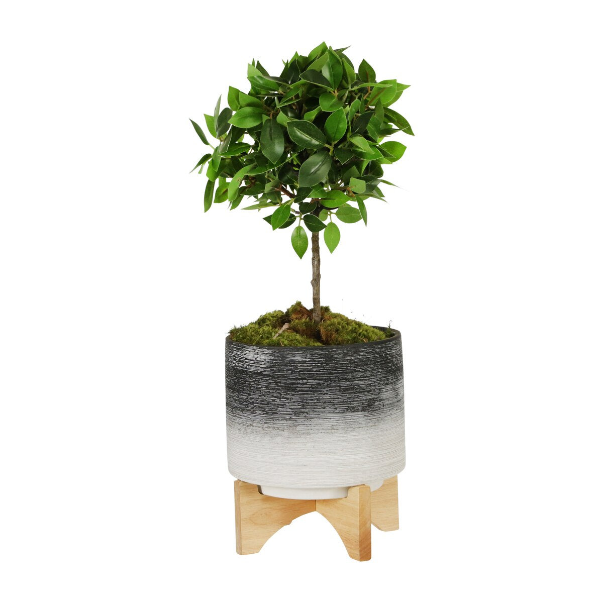 Ceramic 5" Planter On Wooden Stand, Gray